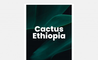 cactusethiopia.com screenshot