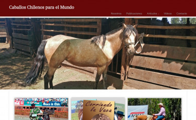 caballoschilenosparaelmundo.cl screenshot