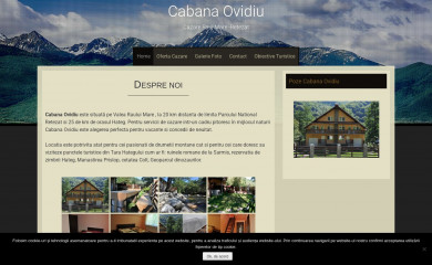 cabanaovidiu.ro screenshot