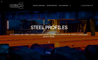 caesa.es screenshot