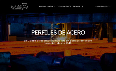 caesa.es screenshot