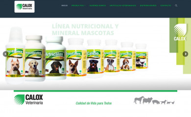 caloxvetcentroamerica.com screenshot