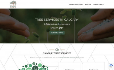 calgarytreeservice.com screenshot