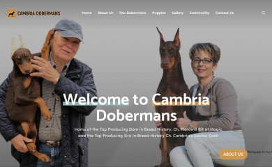 cambriadobes.com screenshot