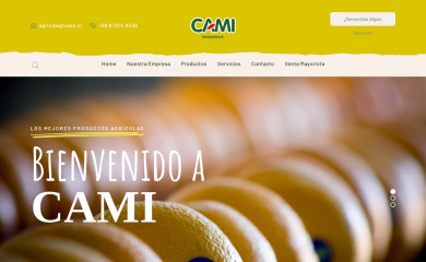 cami.cl screenshot