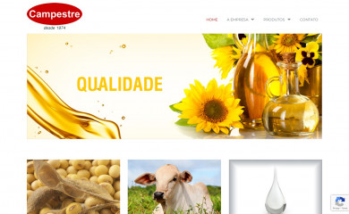 campestre.com.br screenshot