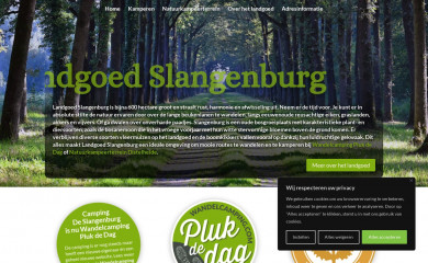 campingdeslangenburg.nl screenshot