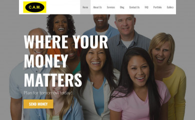 camtransfer.net screenshot