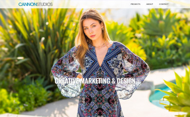 cannonstudios.com screenshot