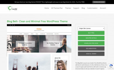 Blog Belt screenshot