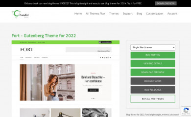 https://www.candidthemes.com/themes/fort screenshot