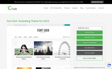 https://www.candidthemes.com/themes/fort-grid/ screenshot
