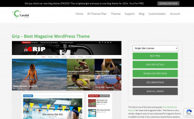 https://www.candidthemes.com/themes/grip/ screenshot