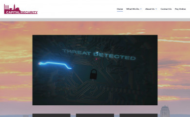 capitalsecurityonline.com screenshot