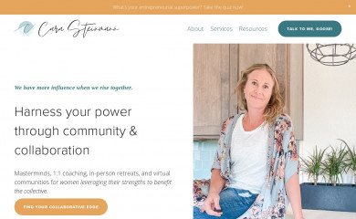 carasteinmann.com screenshot