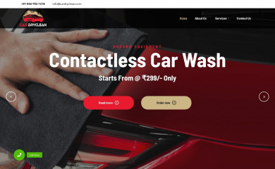 cardryclean.co.in screenshot