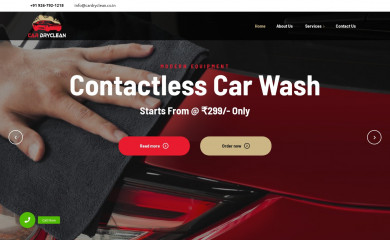 cardryclean.co.in screenshot