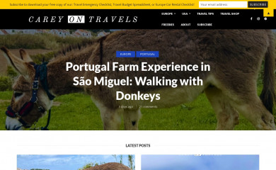 careyontravels.com screenshot