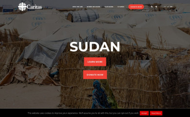 caritas.org screenshot