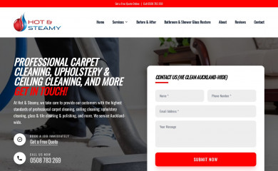 carpetcleaningauckland.co.nz screenshot