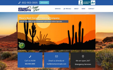 carpetcleaningprosmesa.com screenshot