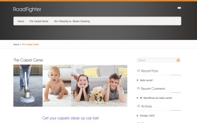 carpetgenie.biz screenshot