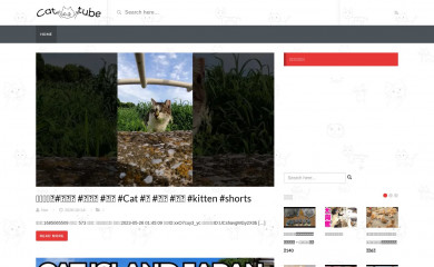 cat-tube.com screenshot