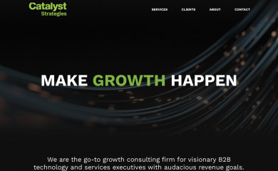 catalyststrategies.com screenshot