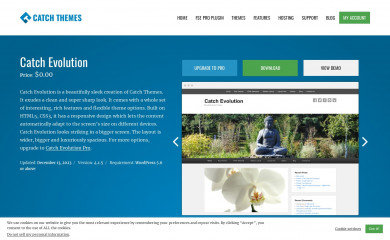 https://catchthemes.com/themes/catch-evolution/ screenshot