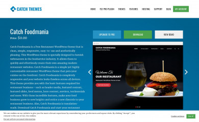 Catch Foodmania screenshot