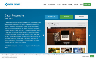 Catch Responsive screenshot