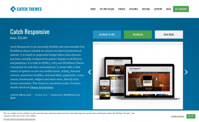 https://catchthemes.com/themes/catch-responsive/ screenshot