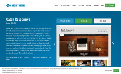 https://catchthemes.com/themes/catch-responsive/ screenshot