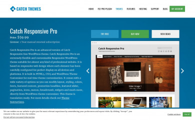Catch Responsive Pro screenshot