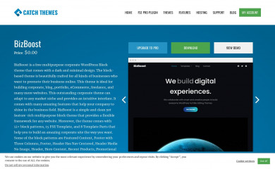 https://catchthemes.com/themes/bizboost screenshot