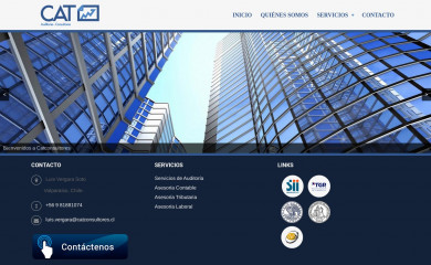 catconsultores.cl screenshot