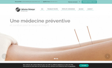 catherine-acupuncture.com screenshot