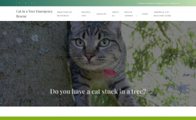catinatreerescue.com screenshot