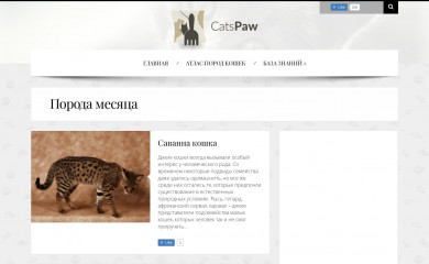 catspaw.ru screenshot