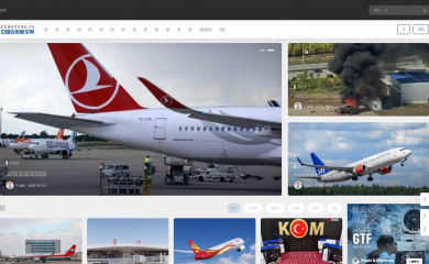 ccaonline.cn screenshot