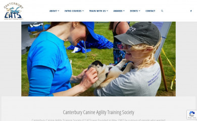 ccats.co.nz screenshot
