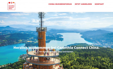 ccc689.at screenshot