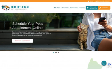 ccvets.com screenshot