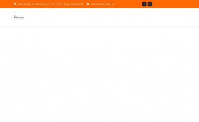 ceavo.com.br screenshot