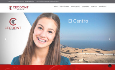 ceodont.cl screenshot
