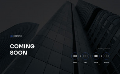 celaengineering.it screenshot