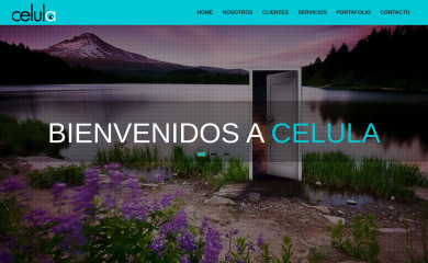 celulapublicidad.cl screenshot