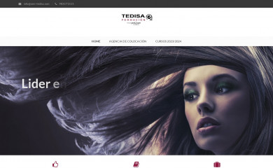 cem-tedisa.com screenshot