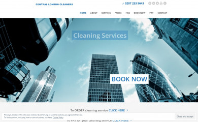 centrallondoncleaners.com screenshot