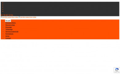 centrecaninfelinjorel.com screenshot